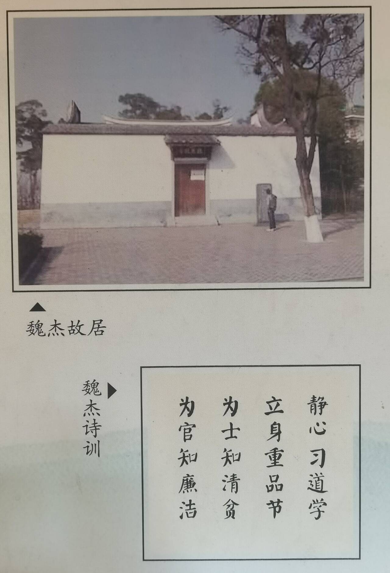 1780535312114955.jpg